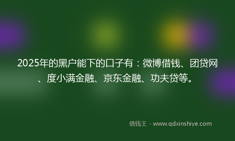 2025年的黑户能下的口子有：微博借钱、团贷网、度小满金融、京东金融、功夫贷等。