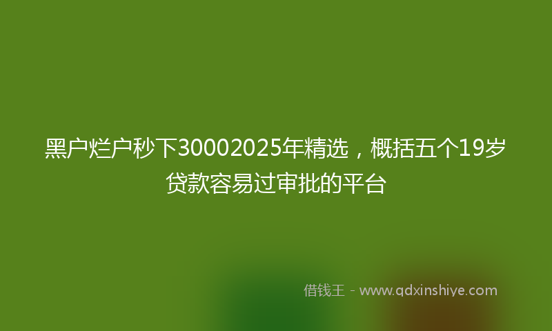 黑户烂户秒下30002025年精选，概括五个19岁贷款容易过审批的平台