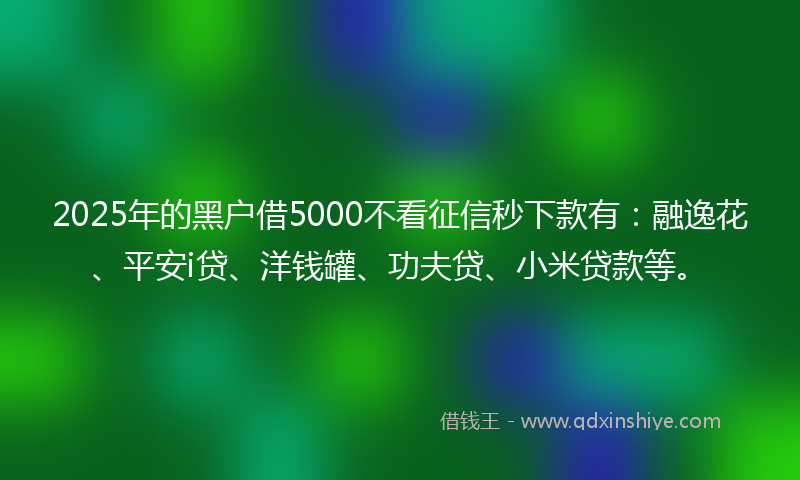 2025年的黑户借5000不看征信秒下款有：融逸花、平安i贷、洋钱罐、功夫贷、小米贷款等。