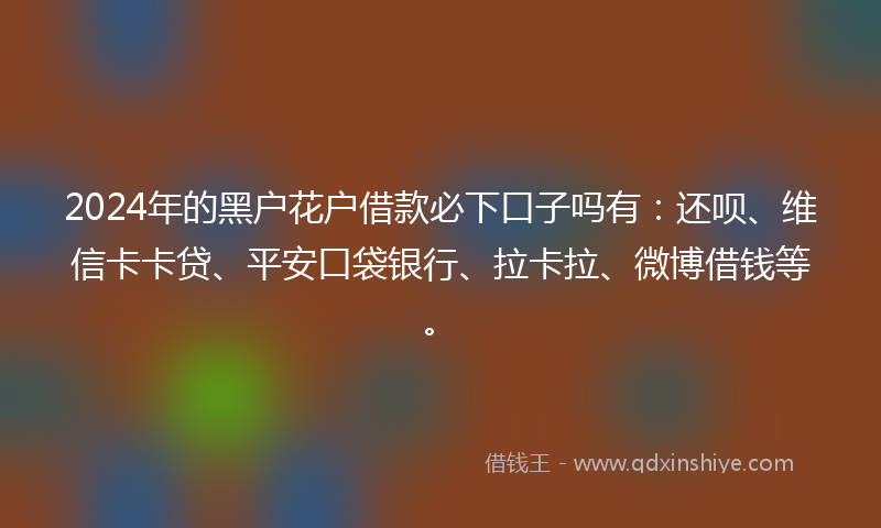2024年的黑户花户借款必下口子吗有：还呗、维信卡卡贷、平安口袋银行、拉卡拉、微博借钱等。
