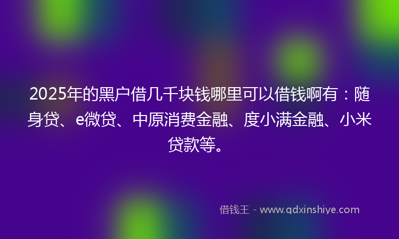 2025年的黑户借几千块钱哪里可以借钱啊有：随身贷、e微贷、中原消费金融、度小满金融、小米贷款等。