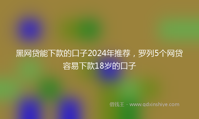 黑网贷能下款的口子2024年推荐，罗列5个网贷容易下款18岁的口子