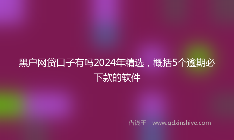 黑户网贷口子有吗2024年精选，概括5个逾期必下款的软件
