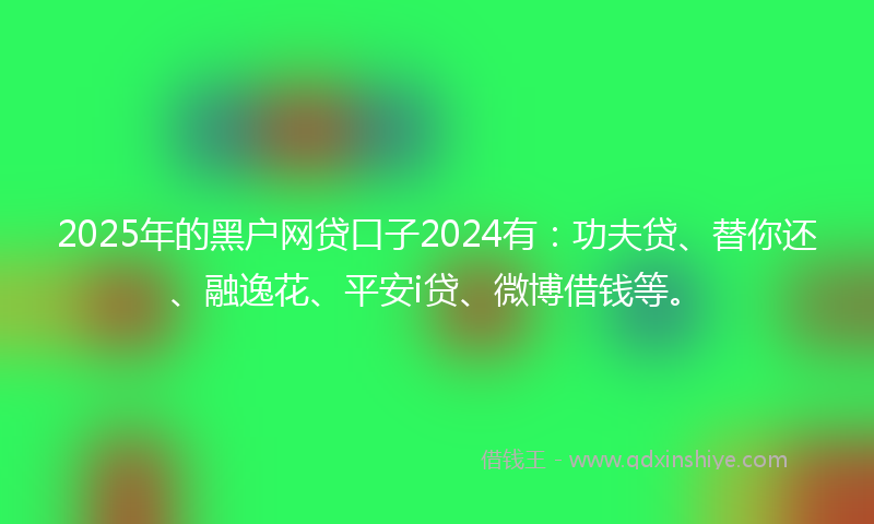 2025年的黑户网贷口子2024有：功夫贷、替你还、融逸花、平安i贷、微博借钱等。