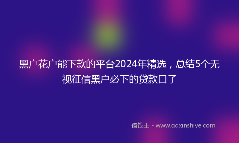 黑户花户能下款的平台2024年精选，总结5个无视征信黑户必下的贷款口子