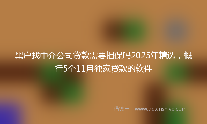 黑户找中介公司贷款需要担保吗2025年精选，概括5个11月独家贷款的软件