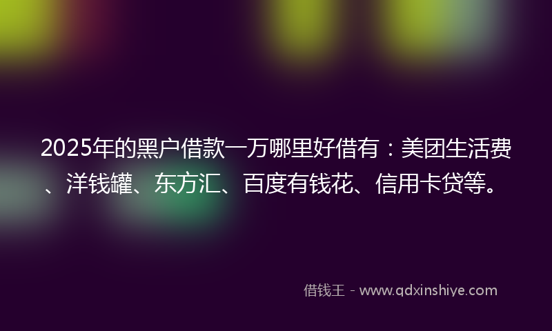 2025年的黑户借款一万哪里好借有：美团生活费、洋钱罐、东方汇、百度有钱花、信用卡贷等。