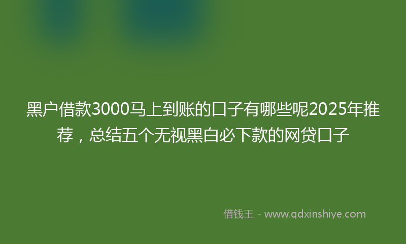 黑户借款3000马上到账的口子有哪些呢2025年推荐，总结五个无视黑白必下款的网贷口子