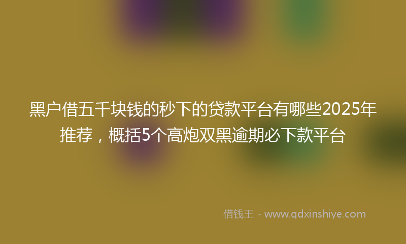 黑户借五千块钱的秒下的贷款平台有哪些2025年推荐，概括5个高炮双黑逾期必下款平台