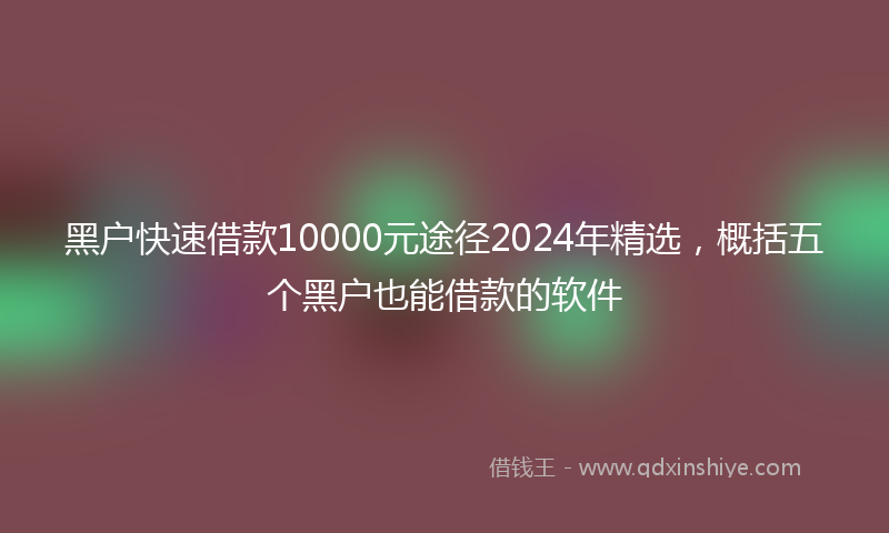黑户快速借款10000元途径2024年精选，概括五个黑户也能借款的软件