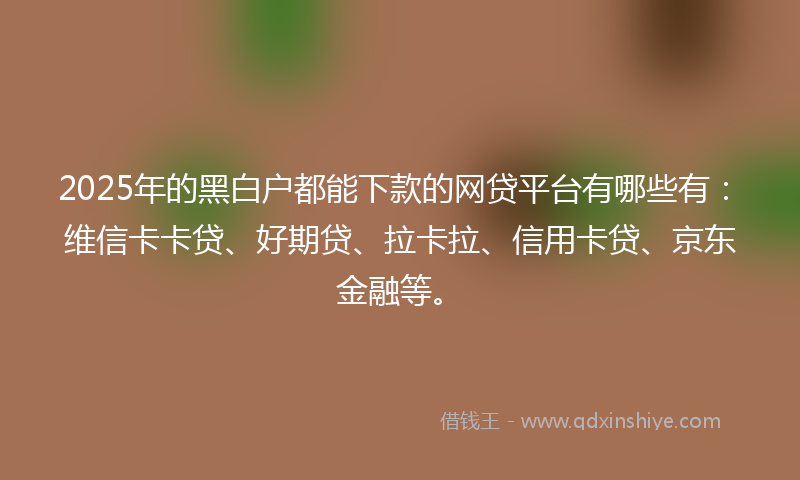 2025年的黑白户都能下款的网贷平台有哪些有：维信卡卡贷、好期贷、拉卡拉、信用卡贷、京东金融等。