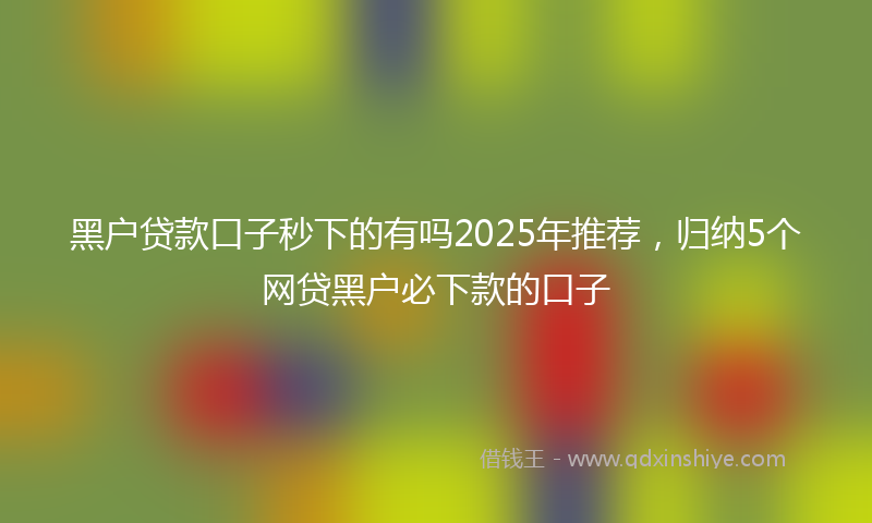 黑户贷款口子秒下的有吗2025年推荐，归纳5个网贷黑户必下款的口子