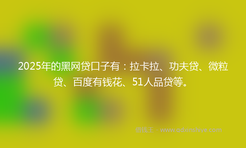 2025年的黑网贷口子有：拉卡拉、功夫贷、微粒贷、百度有钱花、51人品贷等。