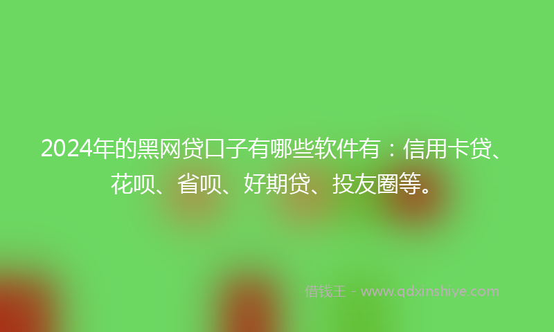 2024年的黑网贷口子有哪些软件有：信用卡贷、花呗、省呗、好期贷、投友圈等。