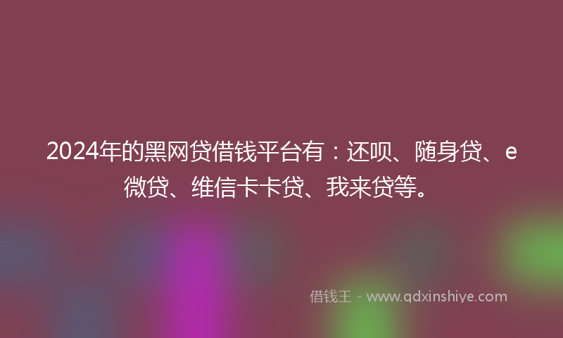 2024年的黑网贷借钱平台有：还呗、随身贷、e微贷、维信卡卡贷、我来贷等。