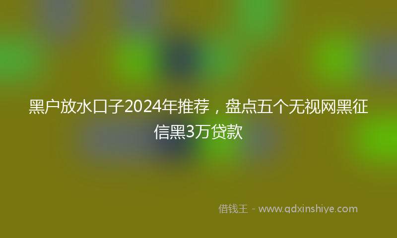 黑户放水口子2024年推荐，盘点五个无视网黑征信黑3万贷款