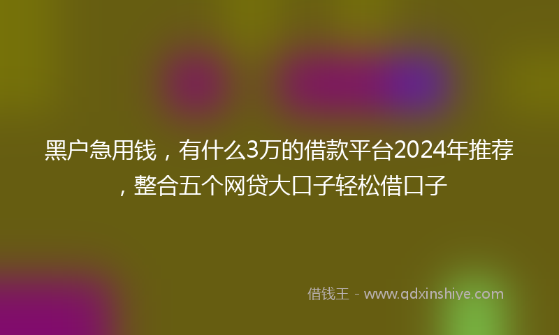 黑户急用钱，有什么3万的借款平台2024年推荐，整合五个网贷大口子轻松借口子