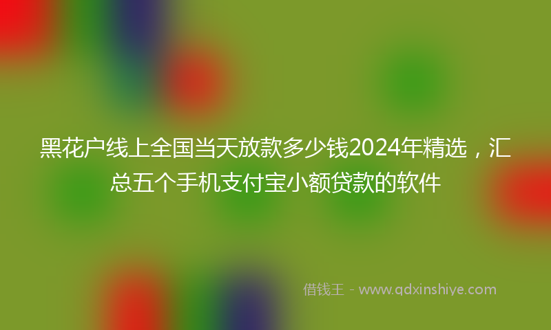 黑花户线上全国当天放款多少钱2024年精选，汇总五个手机支付宝小额贷款的软件