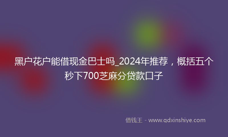 黑户花户能借现金巴士吗_2024年推荐，概括五个秒下700芝麻分贷款口子