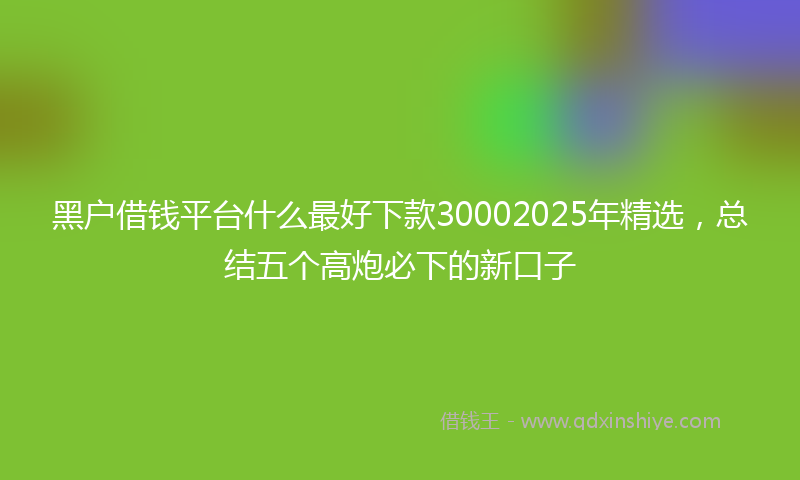 黑户借钱平台什么最好下款30002025年精选，总结五个高炮必下的新口子
