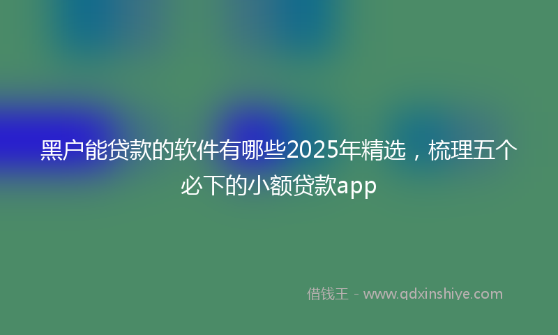 黑户能贷款的软件有哪些2025年精选，梳理五个必下的小额贷款app