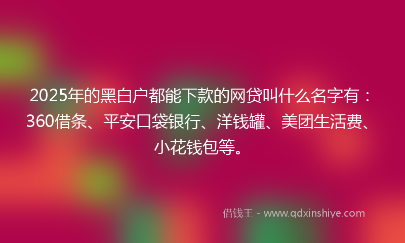 2025年的黑白户都能下款的网贷叫什么名字有：360借条、平安口袋银行、洋钱罐、美团生活费、小花钱包等。