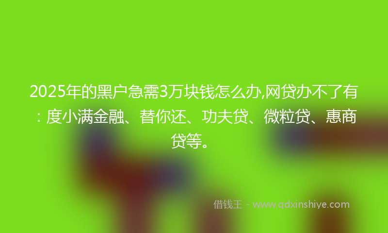 2025年的黑户急需3万块钱怎么办,网贷办不了有：度小满金融、替你还、功夫贷、微粒贷、惠商贷等。