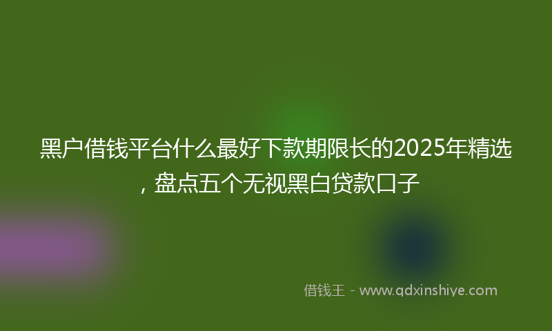 黑户借钱平台什么最好下款期限长的2025年精选，盘点五个无视黑白贷款口子