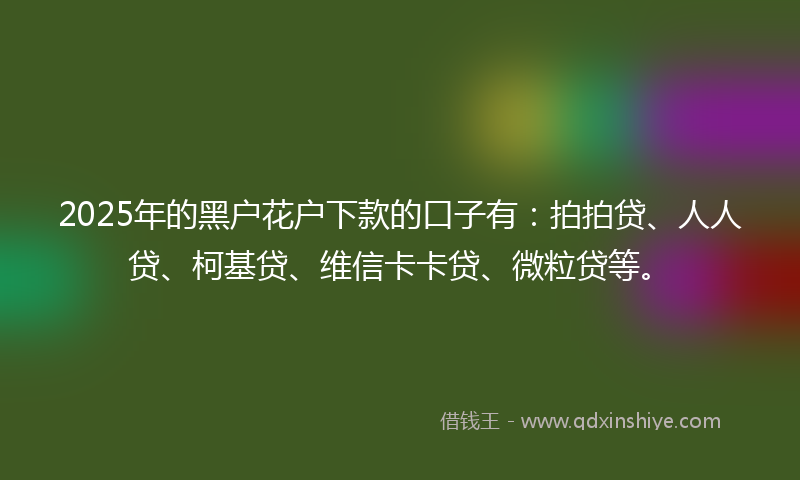 2025年的黑户花户下款的口子有：拍拍贷、人人贷、柯基贷、维信卡卡贷、微粒贷等。