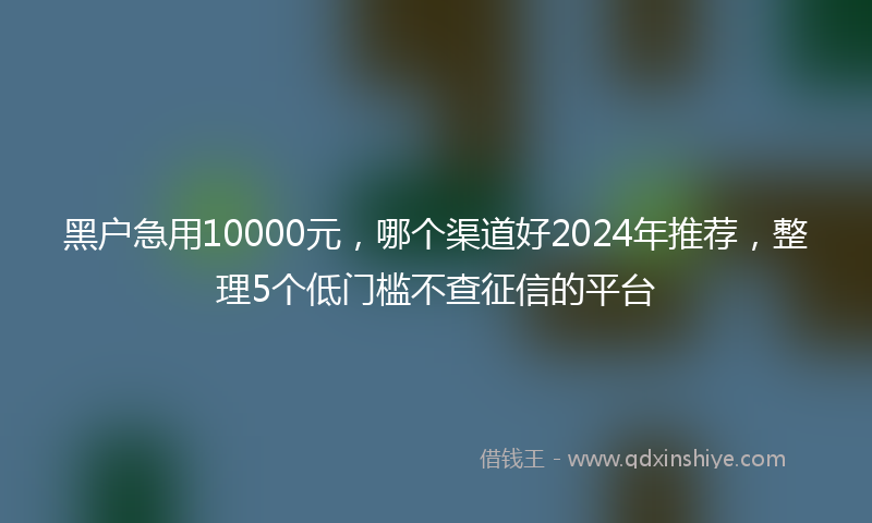 黑户急用10000元，哪个渠道好2024年推荐，整理5个低门槛不查征信的平台