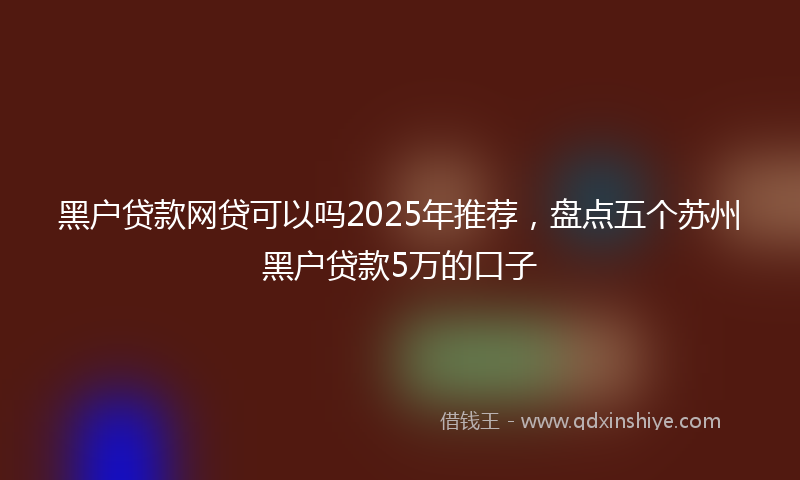 黑户贷款网贷可以吗2025年推荐，盘点五个苏州黑户贷款5万的口子