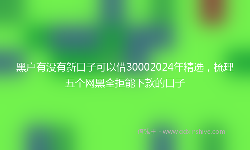 黑户有没有新口子可以借30002024年精选，梳理五个网黑全拒能下款的口子