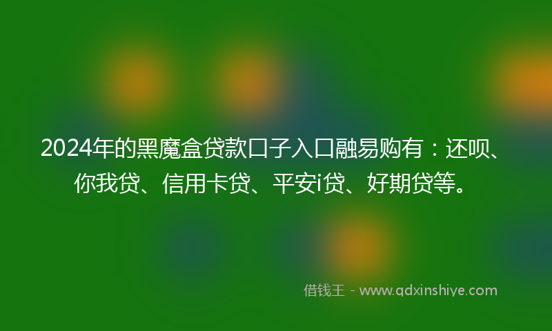2024年的黑魔盒贷款口子入口融易购有：还呗、你我贷、信用卡贷、平安i贷、好期贷等。
