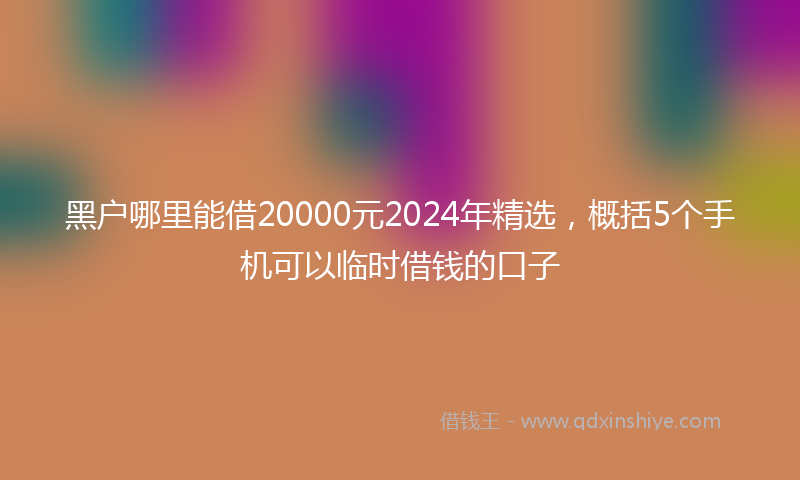 黑户哪里能借20000元2024年精选，概括5个手机可以临时借钱的口子