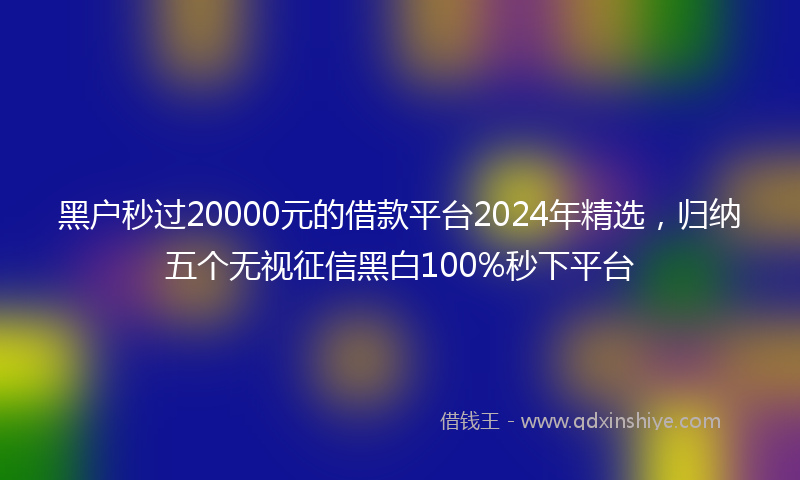 黑户秒过20000元的借款平台2024年精选，归纳五个无视征信黑白100%秒下平台