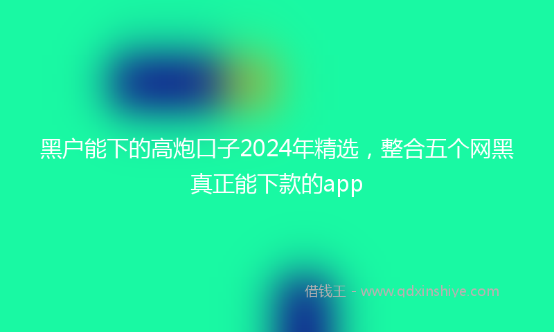黑户能下的高炮口子2024年精选，整合五个网黑真正能下款的app