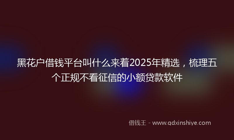 黑花户借钱平台叫什么来着2025年精选，梳理五个正规不看征信的小额贷款软件