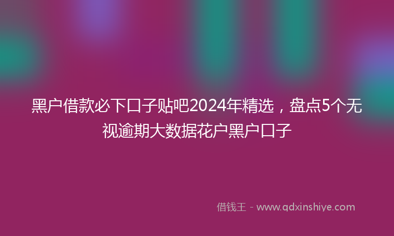 黑户借款必下口子贴吧2024年精选，盘点5个无视逾期大数据花户黑户口子