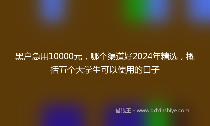 黑户急用10000元，哪个渠道好2024年精选，概括五个大学生可以使用的口子