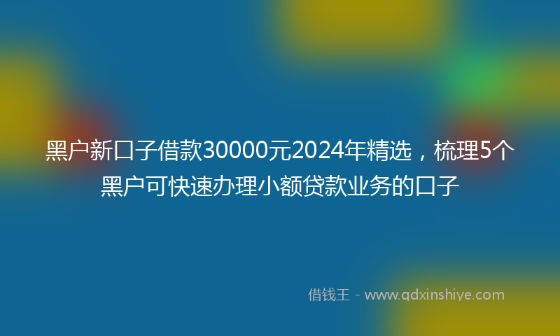 黑户新口子借款30000元2024年精选，梳理5个黑户可快速办理小额贷款业务的口子