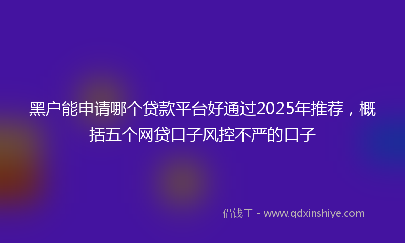 黑户能申请哪个贷款平台好通过2025年推荐，概括五个网贷口子风控不严的口子