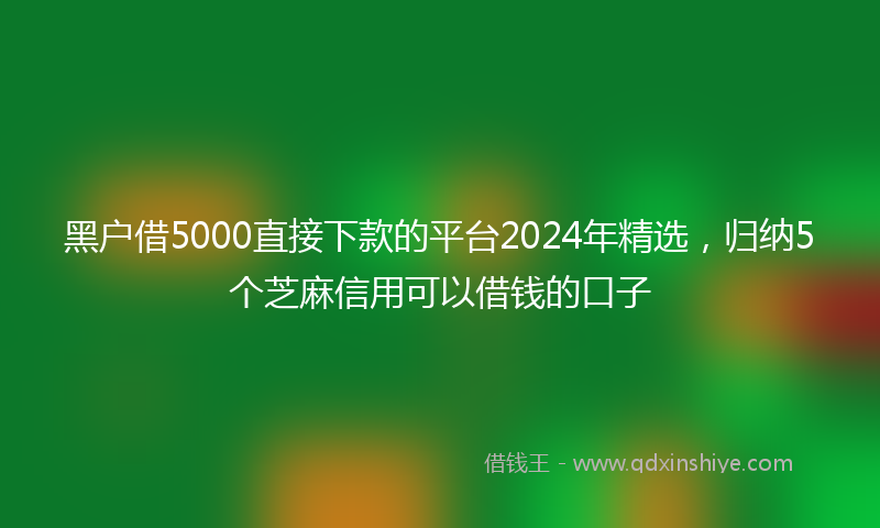 黑户借5000直接下款的平台2024年精选，归纳5个芝麻信用可以借钱的口子