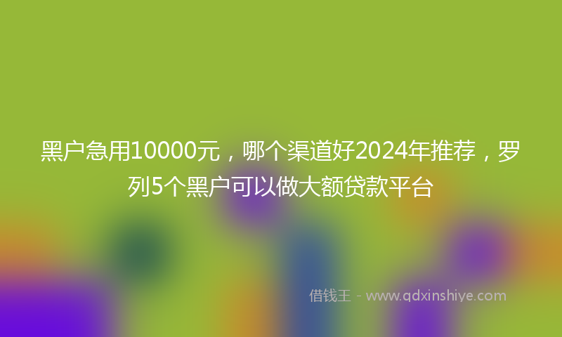 黑户急用10000元，哪个渠道好2024年推荐，罗列5个黑户可以做大额贷款平台