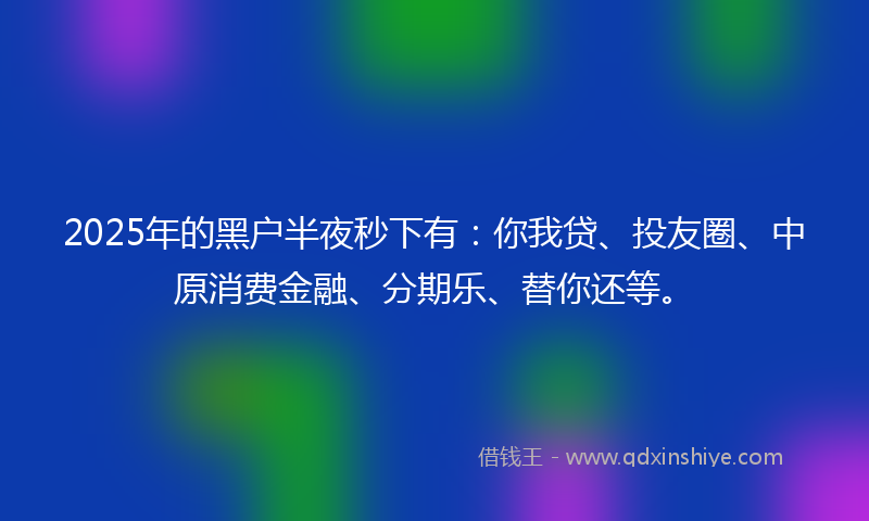 2025年的黑户半夜秒下有：你我贷、投友圈、中原消费金融、分期乐、替你还等。