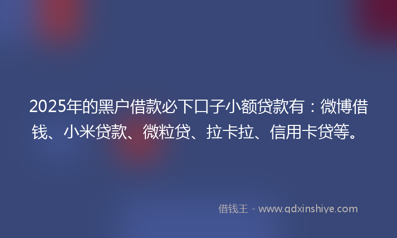 2025年的黑户借款必下口子小额贷款有：微博借钱、小米贷款、微粒贷、拉卡拉、信用卡贷等。
