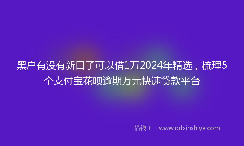 黑户有没有新口子可以借1万2024年精选，梳理5个支付宝花呗逾期万元快速贷款平台