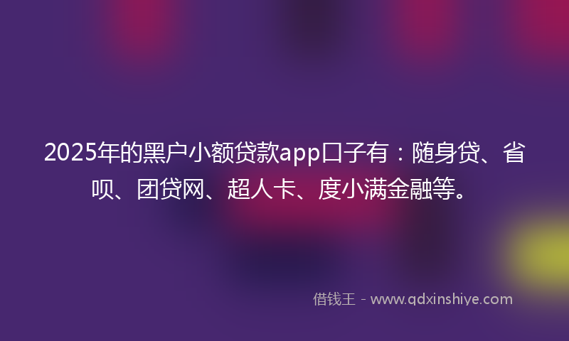2025年的黑户小额贷款app口子有：随身贷、省呗、团贷网、超人卡、度小满金融等。