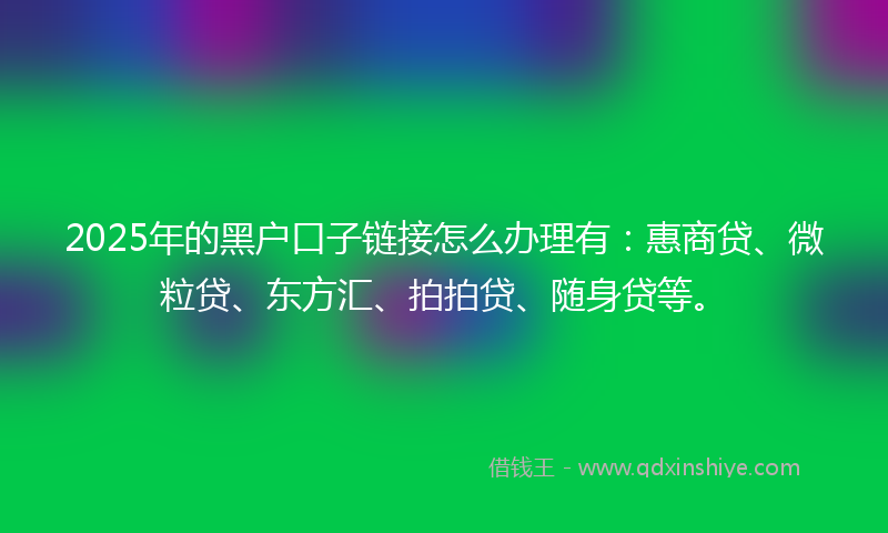 2025年的黑户口子链接怎么办理有：惠商贷、微粒贷、东方汇、拍拍贷、随身贷等。