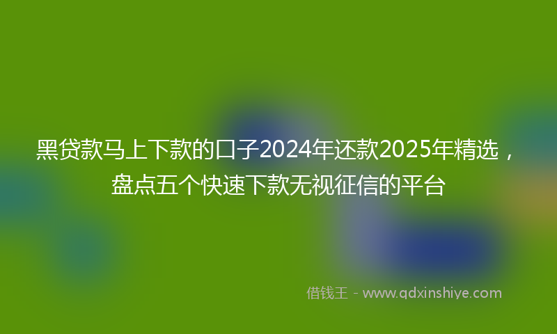 黑贷款马上下款的口子2024年还款2025年精选，盘点五个快速下款无视征信的平台