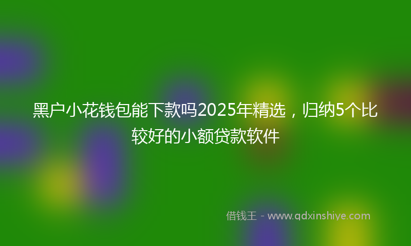 黑户小花钱包能下款吗2025年精选，归纳5个比较好的小额贷款软件